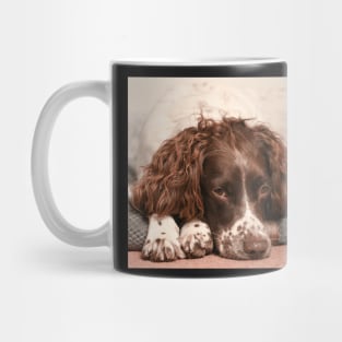 English springer spaniel Mug